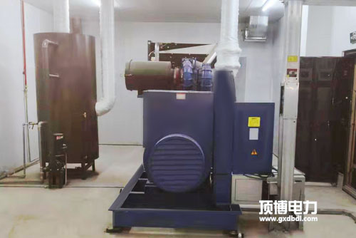 發(fā)電機(jī)組維修師傅帶你深入了解柴油濾芯，你也能成保養(yǎng)專(zhuān)家